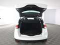 Renault Scenic 1.2 TCe (130cv) energy Intens Bianco - thumbnail 14