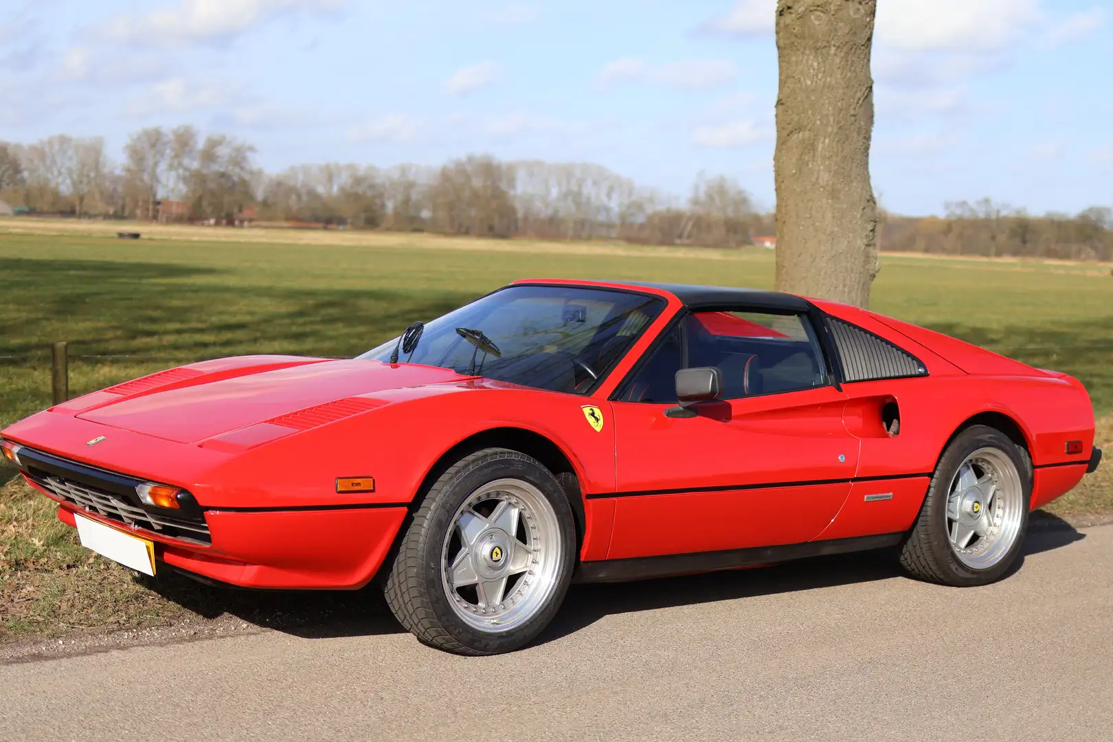 Ferrari 308 GTSi Rojo - 1