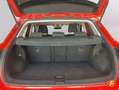Volkswagen T-Roc 2.0TDI Advance Blanco - thumbnail 8