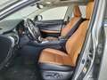 Lexus NX 300 300h Luxury 4WD - thumbnail 12
