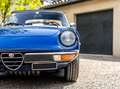 Alfa Romeo Spider 1600 Coda Tronca Bleu - thumbnail 16