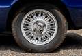 Alfa Romeo Spider 1600 Coda Tronca Bleu - thumbnail 19