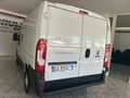 Fiat Ducato 2.3 MJT 120CV  Furgone Blanc - thumbnail 3