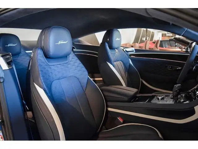 Bentley Continental view 8