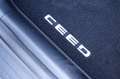 Kia Ceed SW / cee'd SW Sportswagon 1.0 T-GDi 100PK Design Edition | Inrui Grijs - thumbnail 14