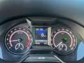 Skoda Octavia Combi RS 2,0 TDI DSG *PANO*ACC*NAVI*LED* Grau - thumbnail 13