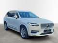 Volvo XC90 Plus Bright Recharge Plug-In Hybrid AWD 7-Sitzer H Weiß - thumbnail 3