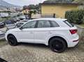 Audi Q5 2.0 tdi 190cv s-tronic quattro Bianco - thumbnail 5