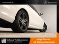 Mercedes-Benz E 220 d T AMG/Night/LED/AHK/Fahrass+/Keyless/HuD Weiß - thumbnail 18