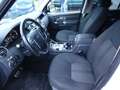 Land Rover Discovery 3.0 TdV6 E bijela - thumbnail 7