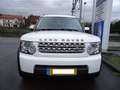 Land Rover Discovery 3.0 TdV6 E bijela - thumbnail 1