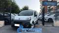 Fiat Fiorino 1.3 MJT 80CV CARGO E6D-TEMP*BLUETOOTH*CARPLAY* Weiß - thumbnail 1