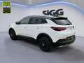 Opel Grandland X 1.2 Turbo Ultimate NAV 360°Kamera DAB+ Blanc - thumbnail 5