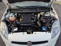 Fiat Bravo 1.4 16V Lounge 66KW Klima Blanc - thumbnail 18