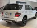 Mercedes-Benz ML 320 ML 320 CDI Sport Argento - thumbnail 6