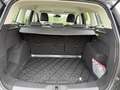 Ford Kuga Sync Edition Grau - thumbnail 12