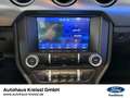 Ford Mustang Convertible GT 5.0 V8 Automatik MagneRide Blau - thumbnail 10