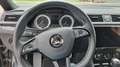 Skoda Superb Sportline/4x4/Kamera/8x Alu/Panorama/Business Grau - thumbnail 12