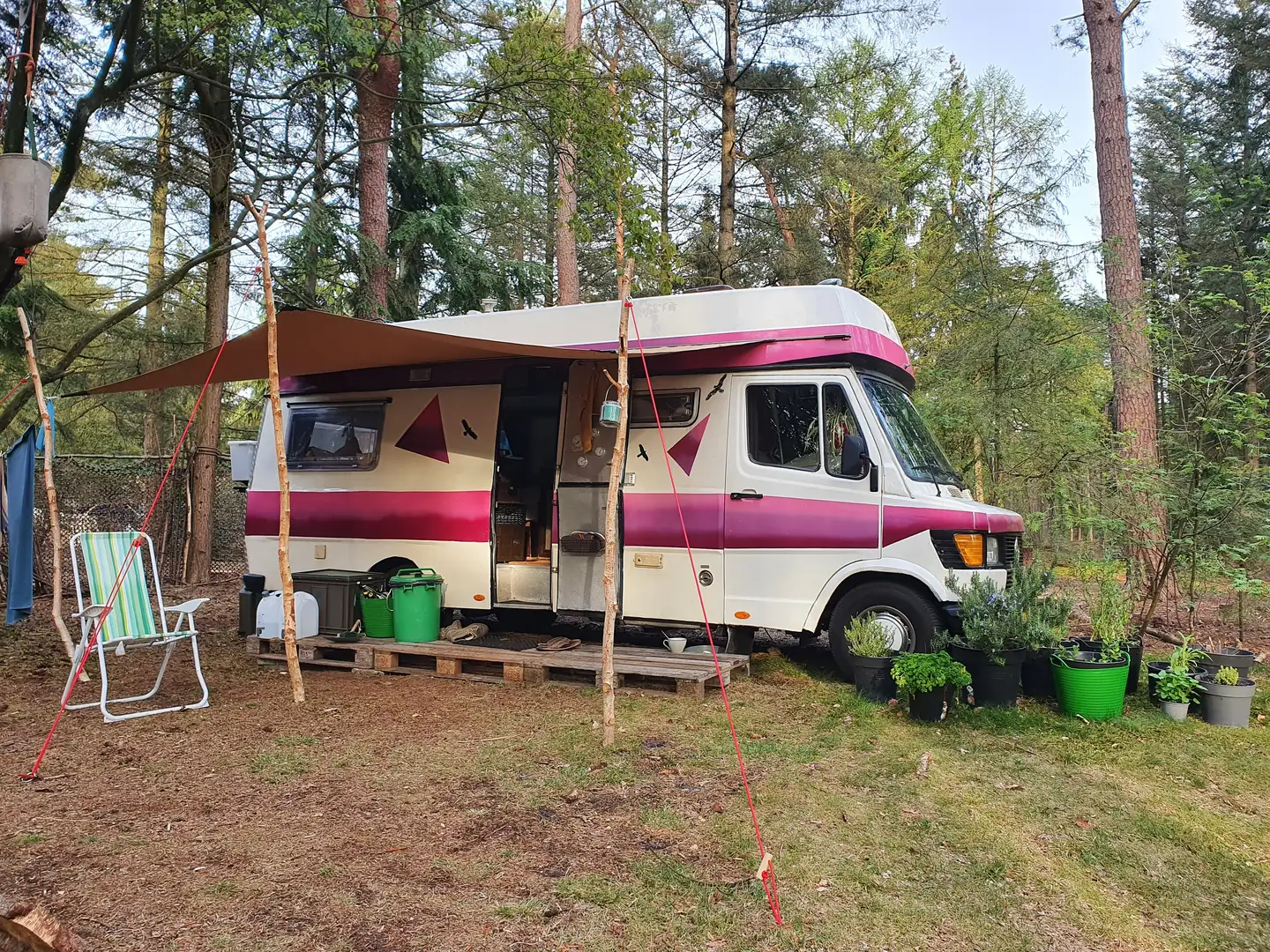 Mercedes-Benz 308 307D Kampeerauto / Camper 1980 Blanc - 1