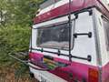 Mercedes-Benz 308 307D Kampeerauto / Camper 1980 Blanc - thumbnail 7
