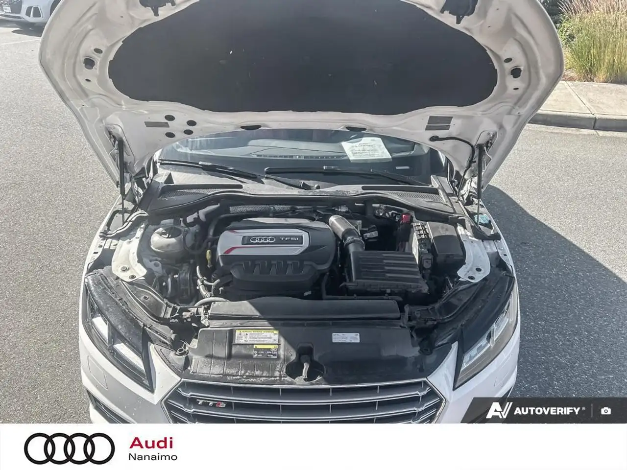 Audi TTS photo Audi TTS
