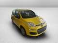 Fiat Panda 1.0 firefly hybrid pop s&s 70cv - thumbnail 3