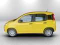Fiat Panda 1.0 firefly hybrid pop s&s 70cv - thumbnail 8