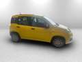 Fiat Panda 1.0 firefly hybrid pop s&s 70cv - thumbnail 4