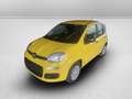 Fiat Panda 1.0 firefly hybrid pop s&s 70cv - thumbnail 1