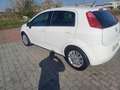 Fiat Grande Punto 5p 1.3 mjt 16v Dynamic c/esp 75cv Bianco - thumbnail 1