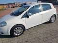 Fiat Grande Punto 5p 1.3 mjt 16v Dynamic c/esp 75cv Bianco - thumbnail 14