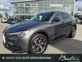 Alfa Romeo Stelvio 2.0 TURBO LUSSO TI Q4/PANORAMA/KAMERA Gris - thumbnail 1