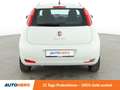 Fiat Punto 1.2 Basis*KLIMA*CD*GARANTIE* Weiß - thumbnail 5