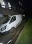 Ford Transit Custom FOURGON 250 L1H1 2.2 TDCi 100 AMBIENTE Wit - thumbnail 5