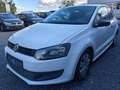Volkswagen Polo Polo 1.2,Klima**,EURO 5. Weiß - thumbnail 4