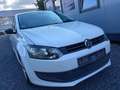 Volkswagen Polo Polo 1.2,Klima**,EURO 5. Weiß - thumbnail 3