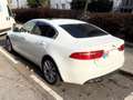 Jaguar XE XE 20d Portfolio Aut. Portfolio Weiß - thumbnail 5