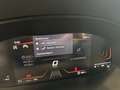 SEAT Ibiza 1,0TSI Style PDC vo/hi 16´´ SHZ Climatr. Negro - thumbnail 14