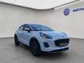 Ford Puma 1.0 EB Hybrid TITANIUM DESIGN Allwetter Weiß - thumbnail 8