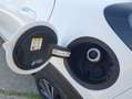 Ford Puma 1.0 EB Hybrid TITANIUM DESIGN Allwetter Weiß - thumbnail 26