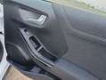 Ford Puma 1.0 EB Hybrid TITANIUM DESIGN Allwetter Weiß - thumbnail 20