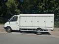 Mercedes-Benz Sprinter Pritsche 311 CDI *KÜHLWAGEN* Weiß - thumbnail 7