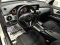 Mercedes-Benz GLK 220 CDI 4Matic *1.BESITZ*SZH*TEMPO* Weiß - thumbnail 11