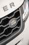 Land Rover Range Rover Evoque R-Dynamic SE D165 AWD Aut. Weiß - thumbnail 20