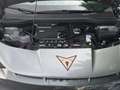 CUPRA Tavascan VZ 4Drive 250 kW Pano Head-Up Grau - thumbnail 14