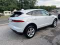 Jaguar E-Pace 2.0D 150 CV AWD aut. HSE Blanc - thumbnail 10