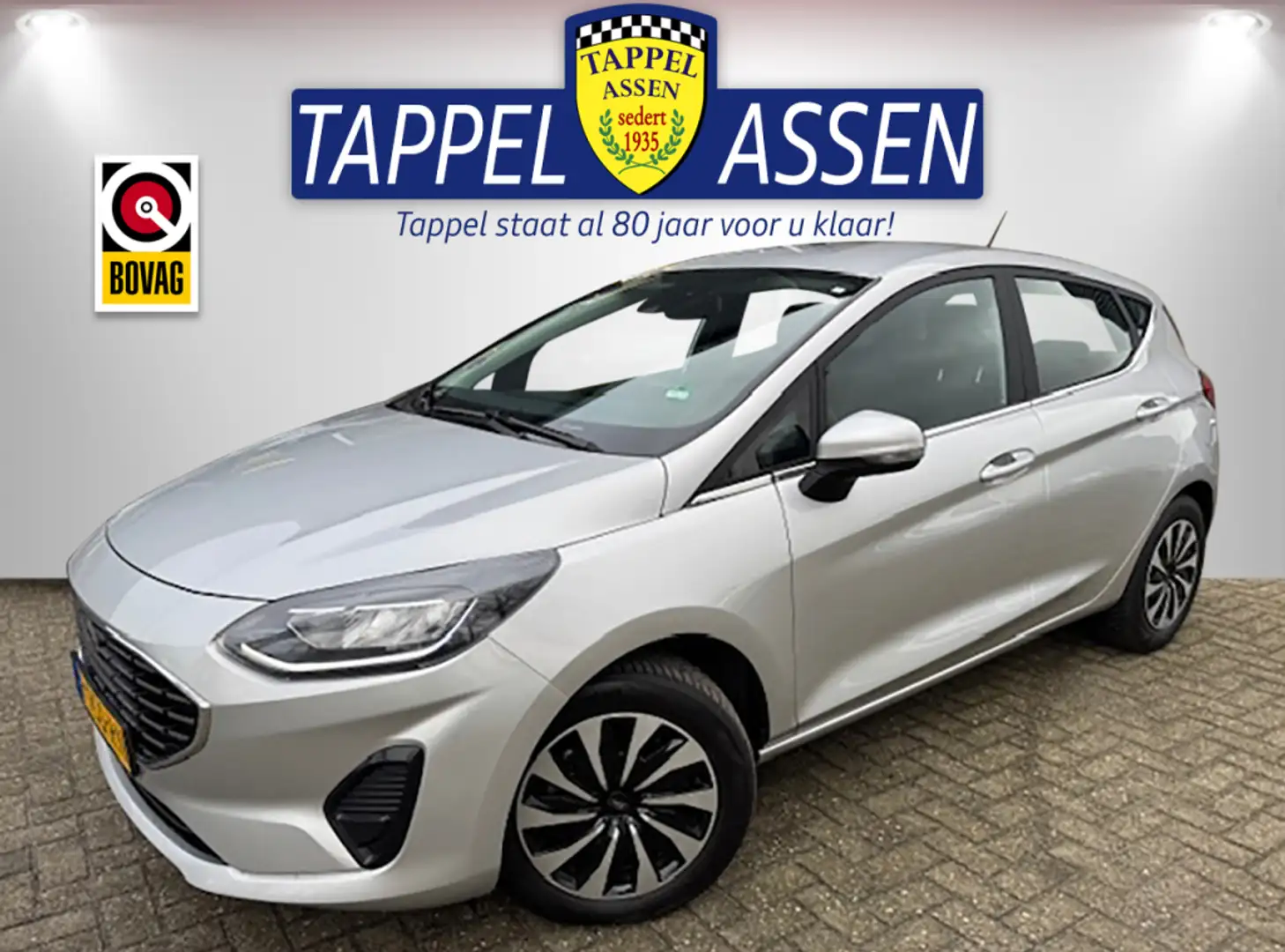 Ford Fiesta 1.0 EcoB. Titanium Grijs - 1