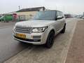 Land Rover Range Rover Range Rover 4.4 SDV8 Autobiograp Beige - thumbnail 7