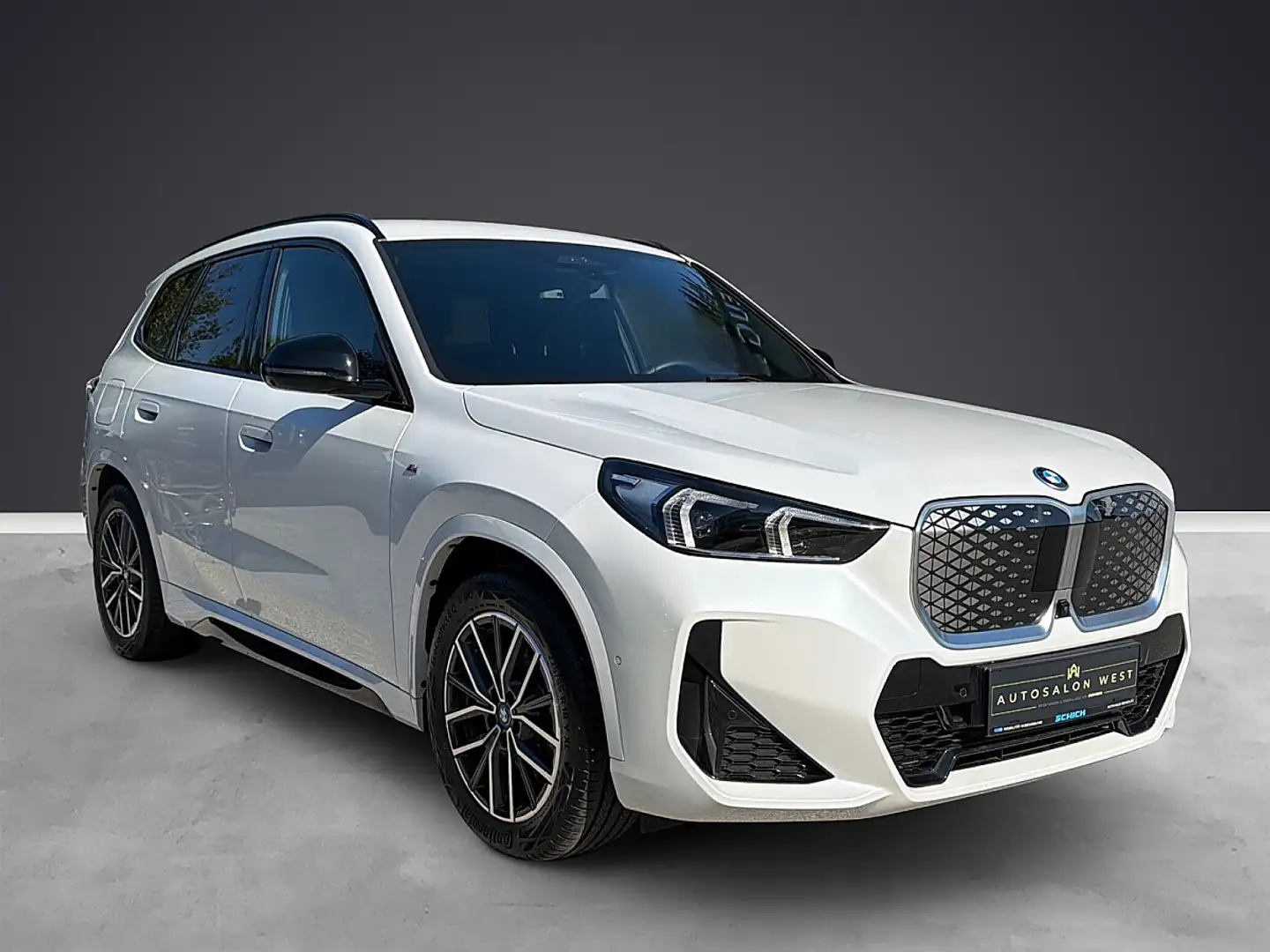 BMW iX1 xDrive30 Weiß - 2