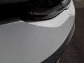 Volkswagen Golf Style 1.4 eHybrid AHK*RFK*SH*Navi DSG Weiß - thumbnail 22
